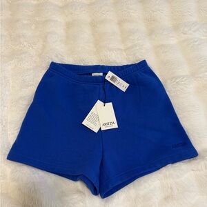 Aritzia Blue Athletic Shorts